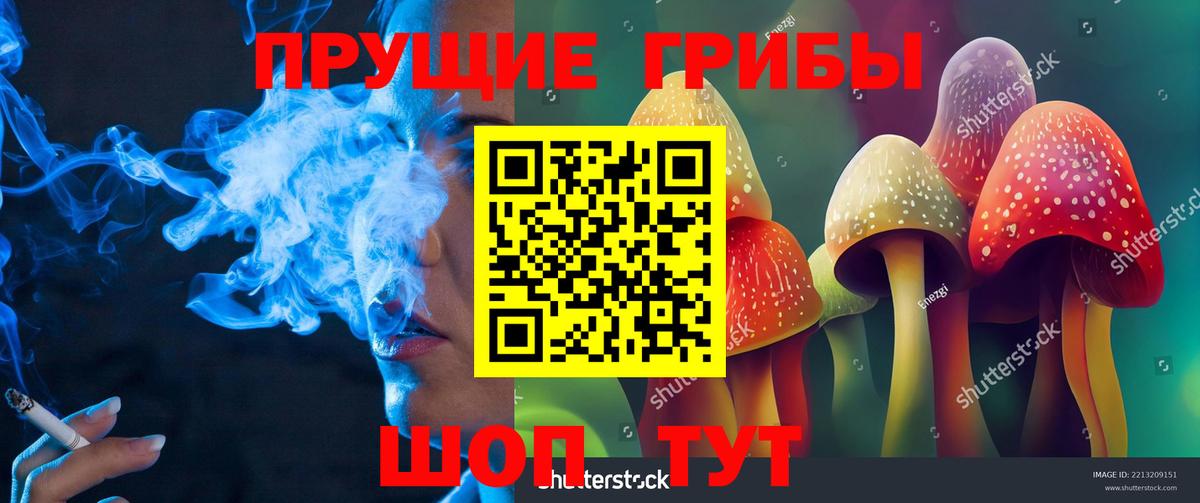 Галлюциногенные грибы Cubensis  закладки  Тосно  Вход с VPN 