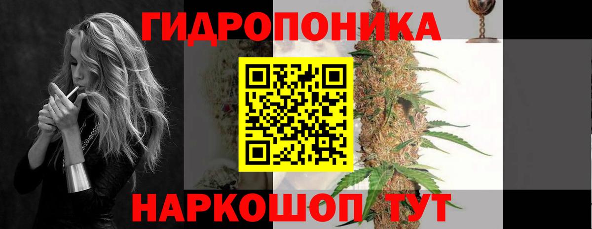 Бошки Шишки ГИДРОПОН  МАРИХУАНА марихуана  Шишки марихуана планчик  Тосно  Вход с VPN  Конопля ГИДРОПОН 